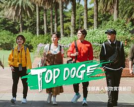 91TV影院《TOP DOG》免费在线观看