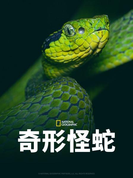 91九色《奇形怪蛇》免费在线观看